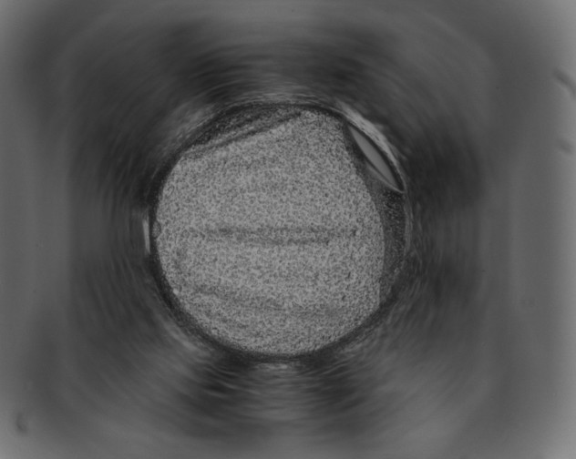 X0000091920061200710031047
