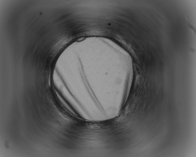 X0000091920062200710031047