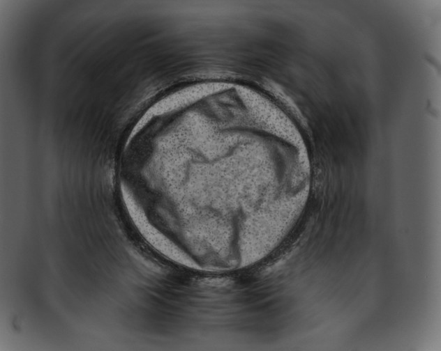 X0000091920063200710031047