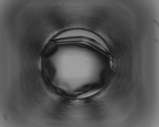 X0000091920064200710031048