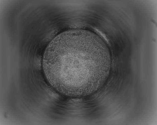 X0000091920065200710031048