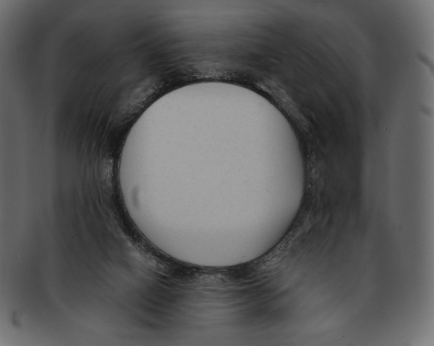 X0000091920066200710031048