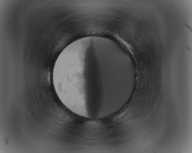 X0000091920067200710031048