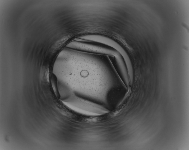 X0000091920068200710031048