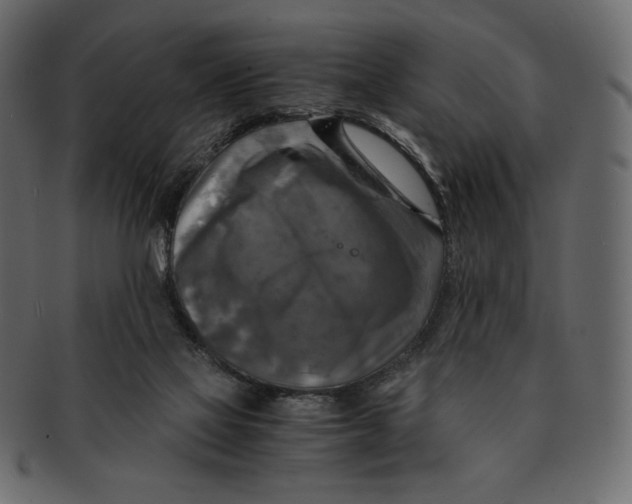 X0000091920069200710031048