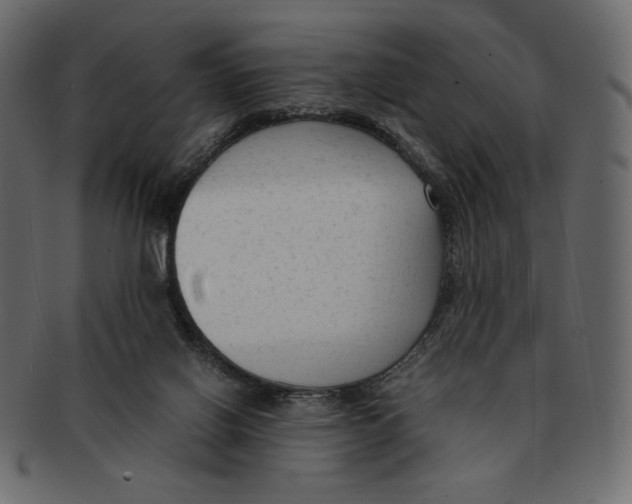 X0000091920070200710031048
