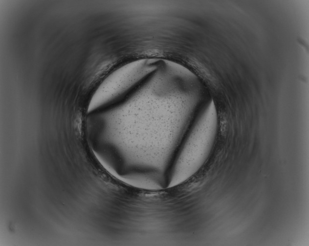 X0000091920072200710031048