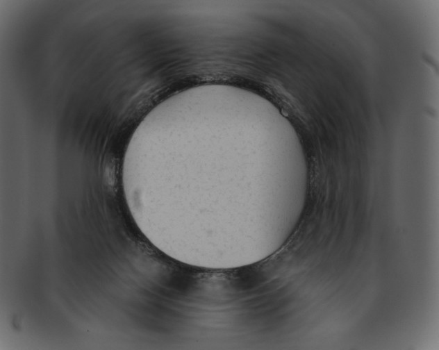 X0000091920074200710031048