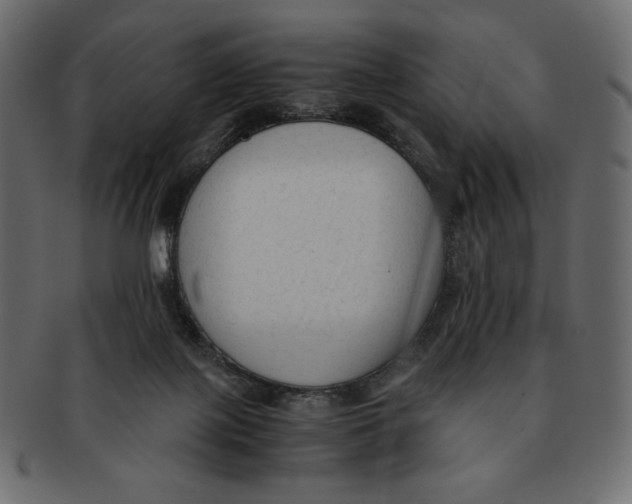 X0000091920075200710031048