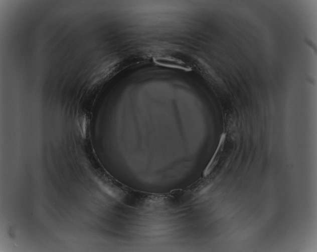 X0000091920076200710031048