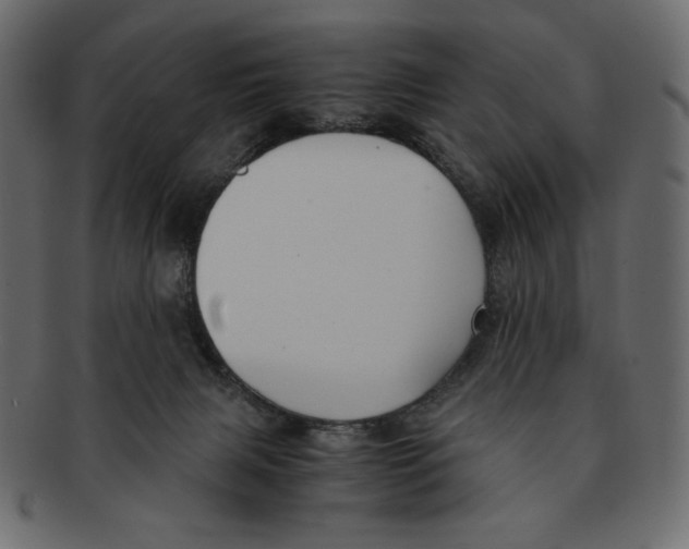 X0000091920079200710031048