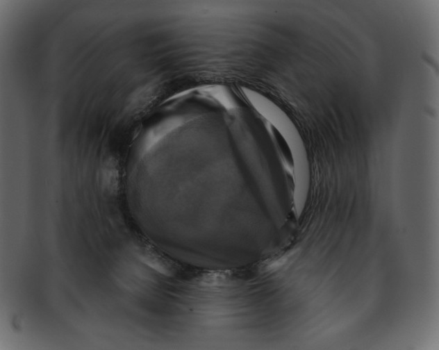 X0000091920080200710031048