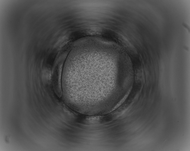 X0000091920084200710031048