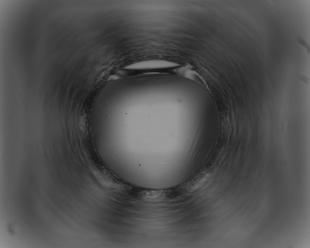 X0000091920088200710031048