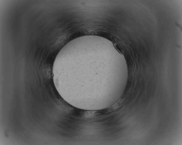 X0000091920090200710031048