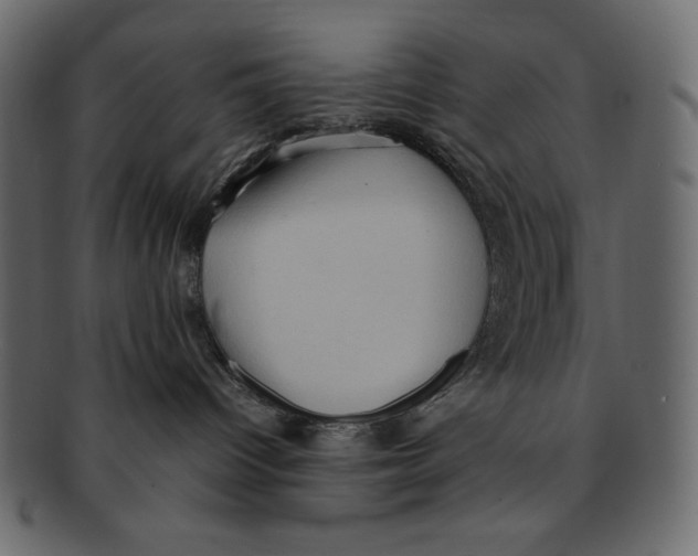 X0000091920096200710031048