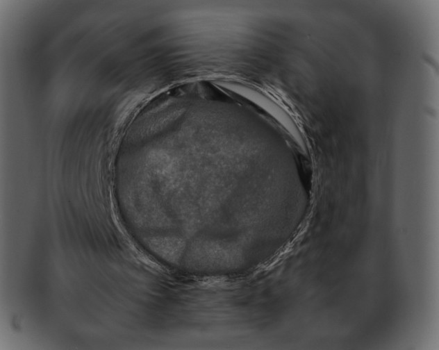 X0000091920097200710031047