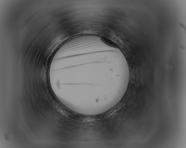 X0000091920098200710031047