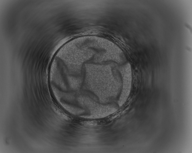 X0000091920100200710031047