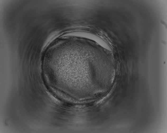 X0000091920101200710031047
