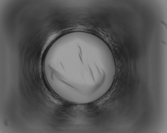 X0000091920102200710031047