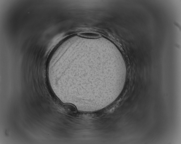 X0000091920103200710031047