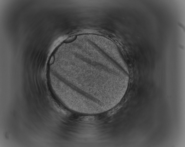 X0000091920104200710031047