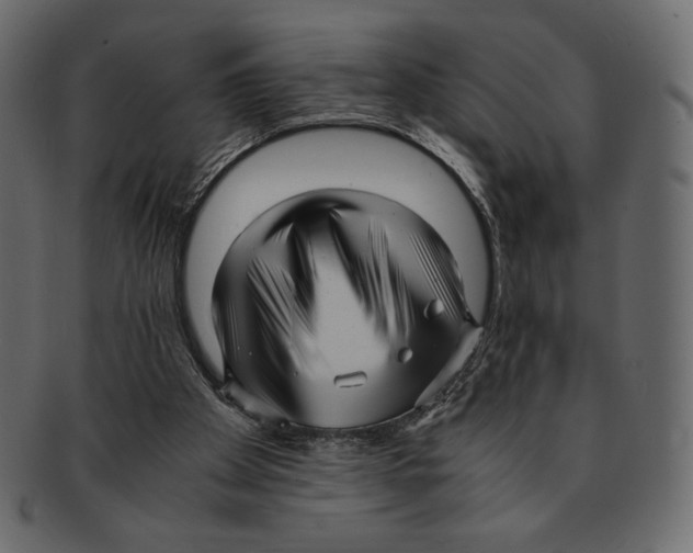 X0000091920105200710031047