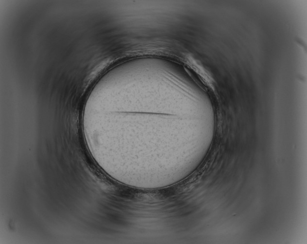 X0000091920107200710031047