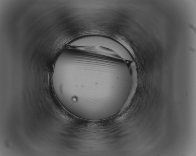 X0000091920109200710031047
