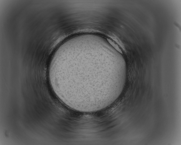 X0000091920111200710031047