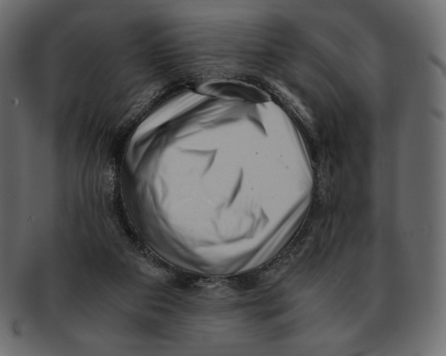 X0000091920113200710031047