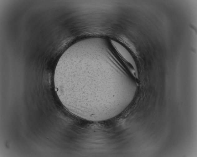 X0000091920115200710031047