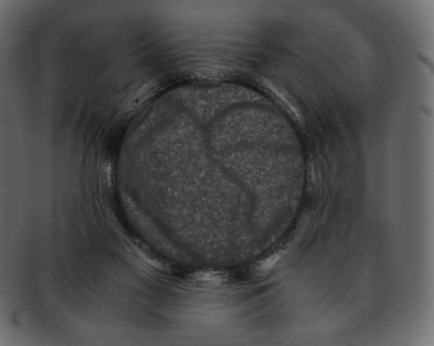 X0000091920117200710031047