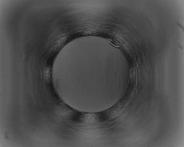 X0000091920127200710031047