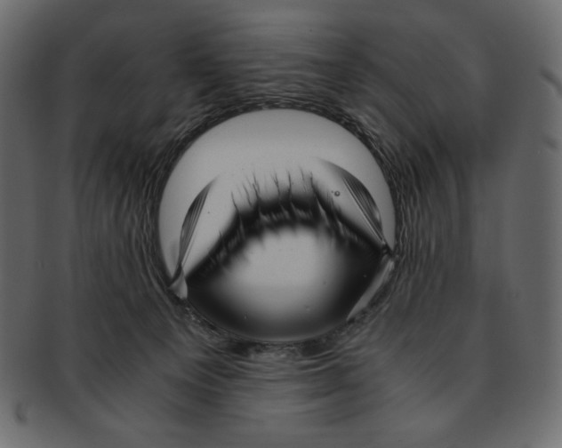 X0000091920129200710031047