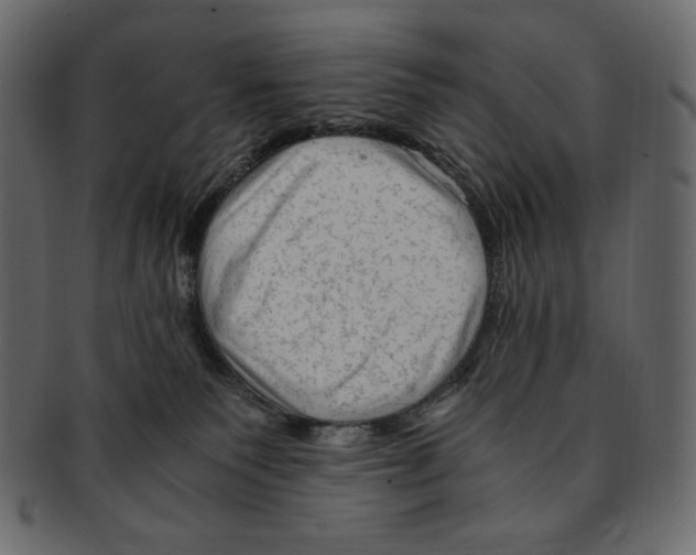 X0000091920135200710031047