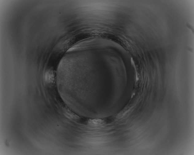 X0000091920137200710031047