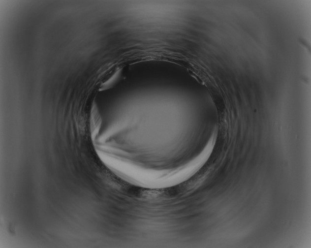 X0000091920139200710031047