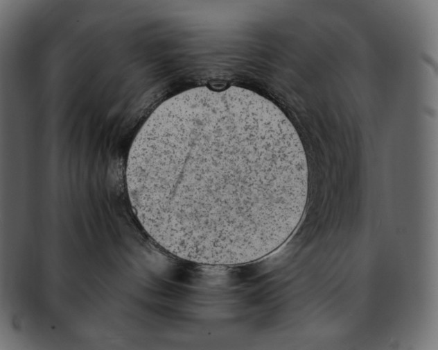 X0000091920144200710031047