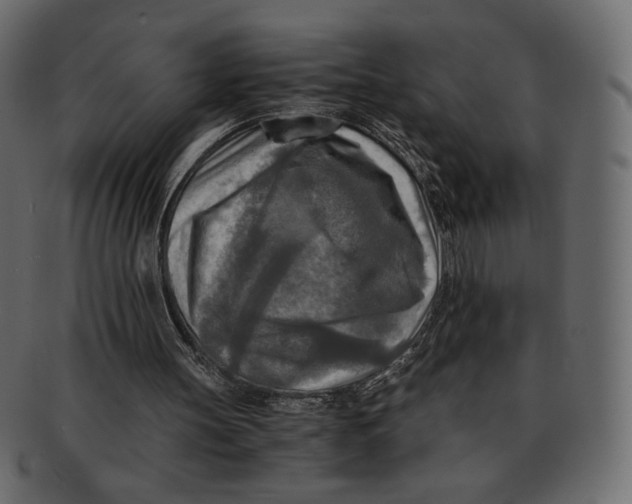 X0000091920147200710031046
