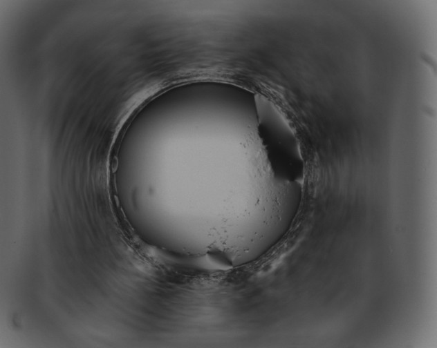 X0000091920148200710031046