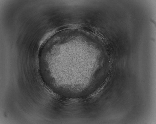 X0000091920149200710031046