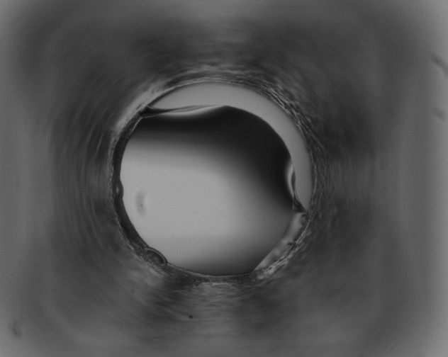 X0000091920150200710031046