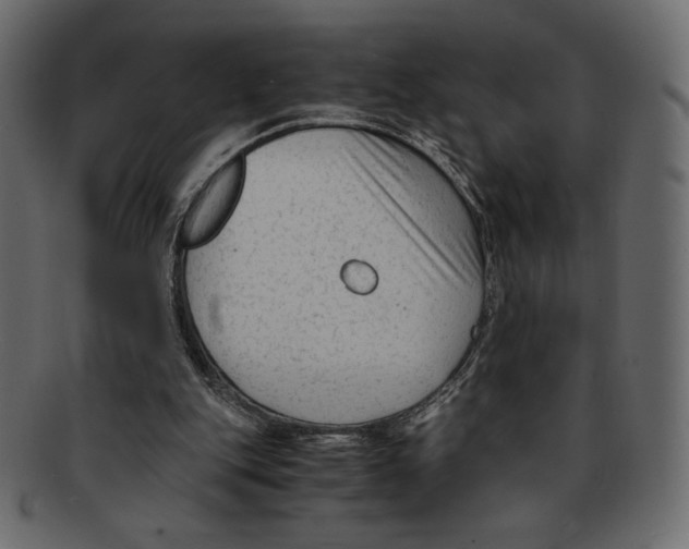 X0000091920151200710031046