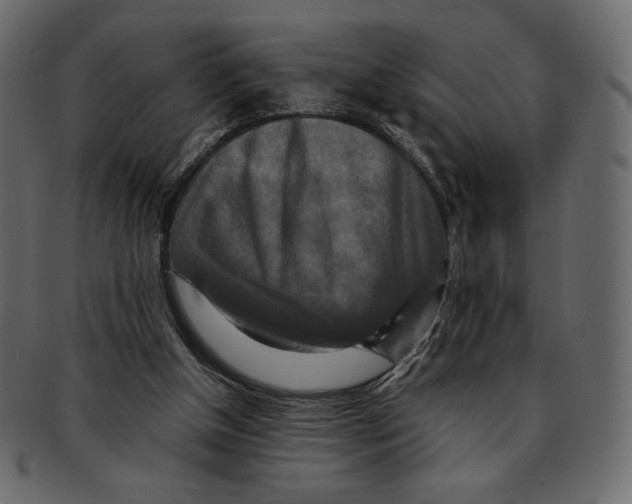 X0000091920154200710031046