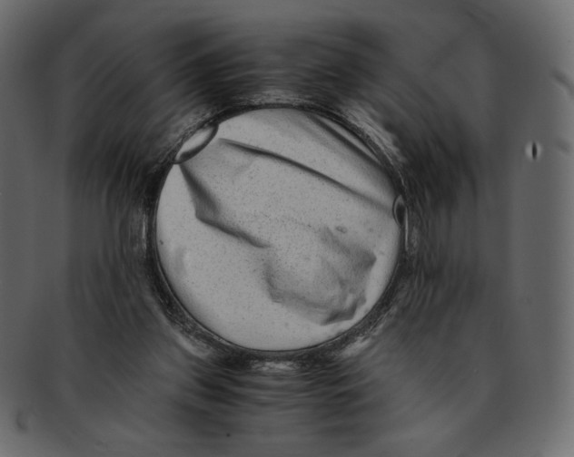 X0000091920157200710031046