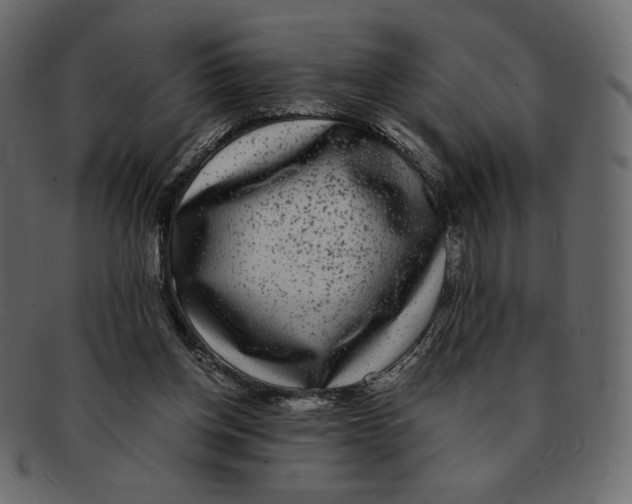 X0000091920158200710031046