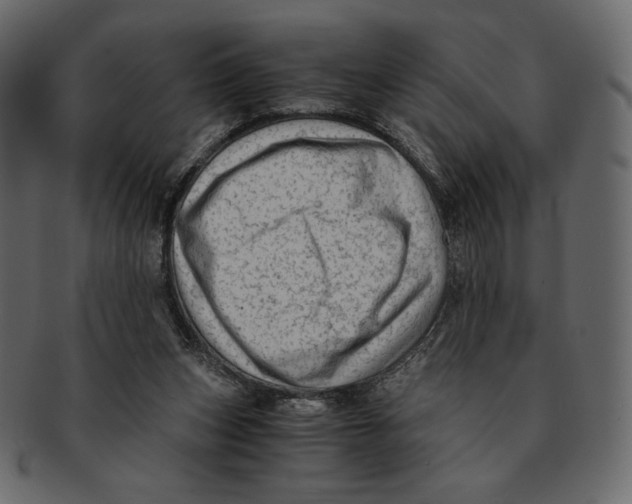 X0000091920159200710031046