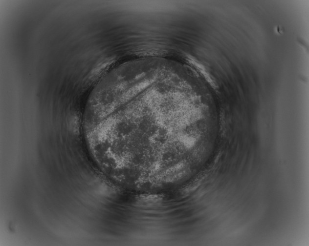 X0000091920161200710031046